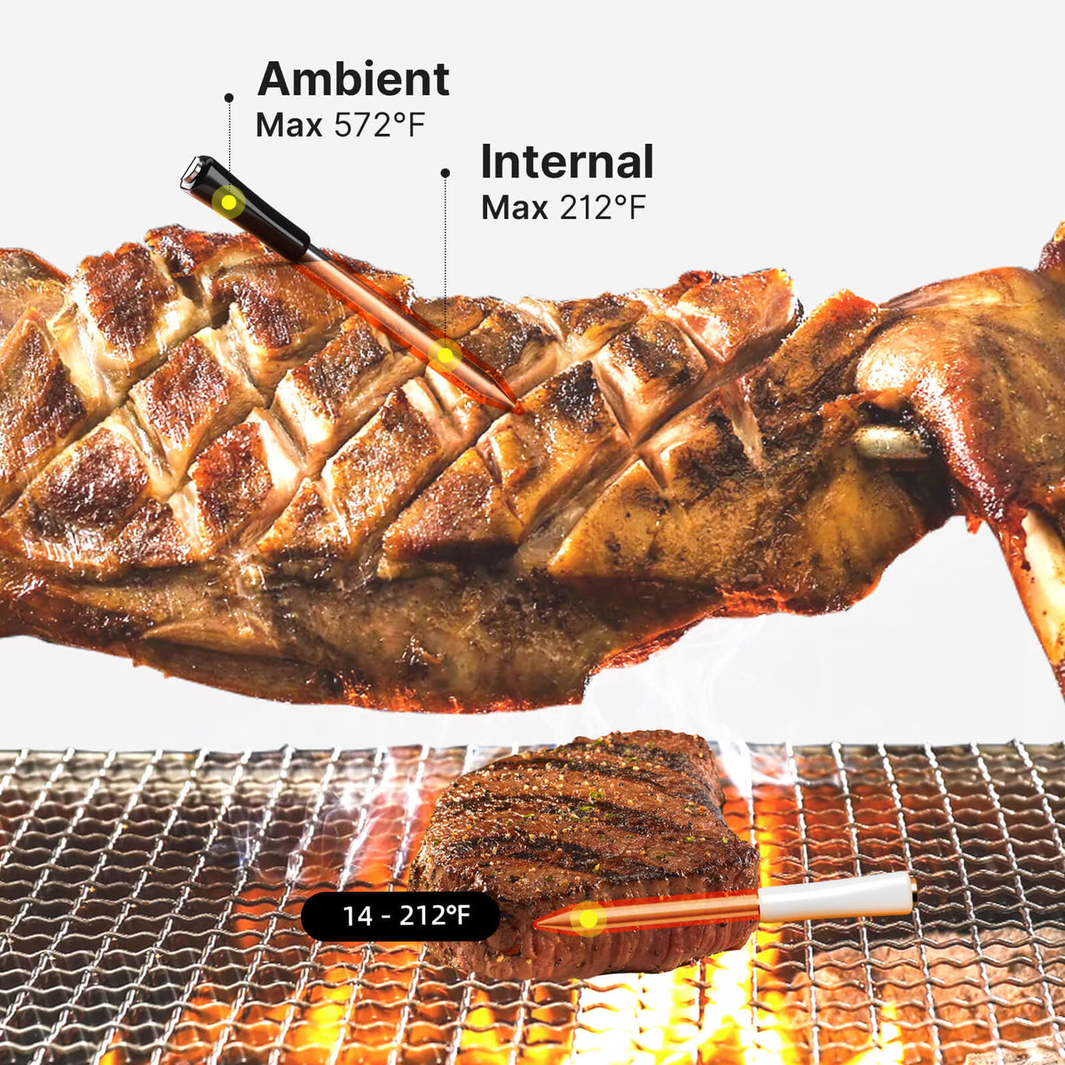 INT-12-BW Long and Short Probes Monitoring Internal and Ambient Temps