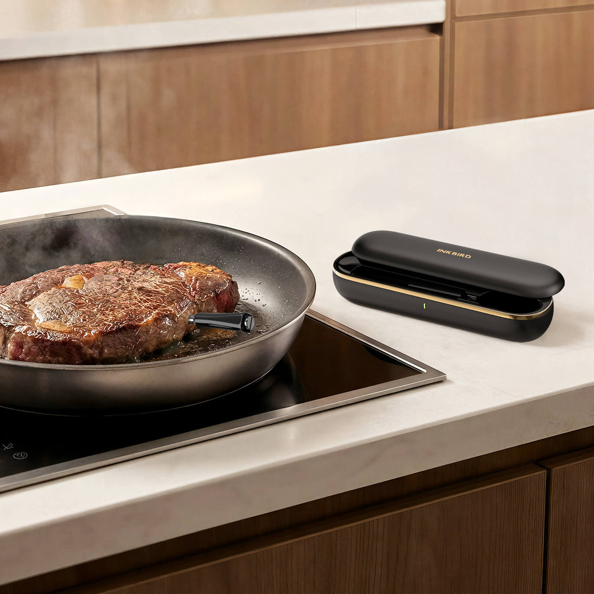 Searing Steak on Pan with INT-11P-B