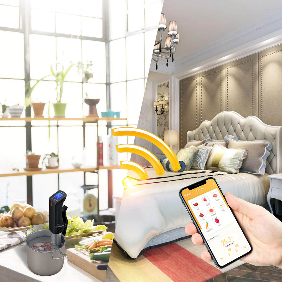 WiFi Sous Vide Cooker ISV - 100W - INKBIRD