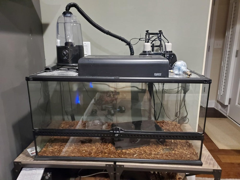 IHC-200 for Terrarium