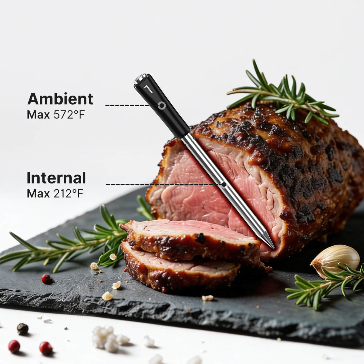 INT-14-BW Dual Sensors for Ambient and Internal Temp