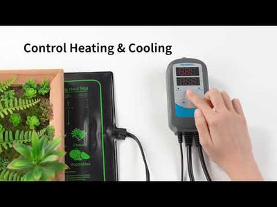 Temperature Controller ITC-310T-B