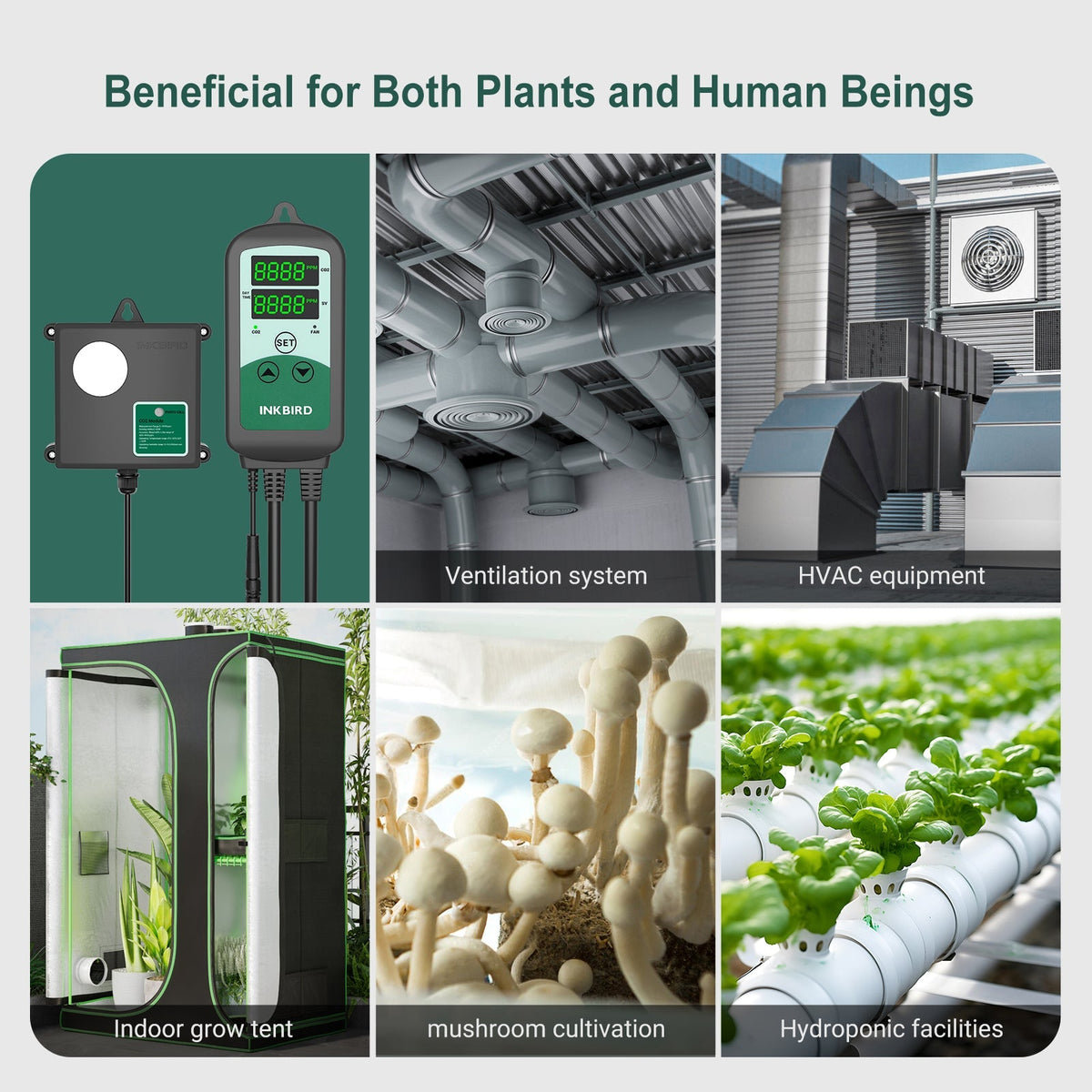 Programmable CO2 Controller with S01 Sensor ICC - 510 - INKBIRD